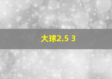 大球2.5 3